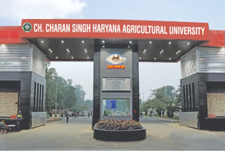 चरण सिंह हरियाणा कृषि विश्वविद्यालय