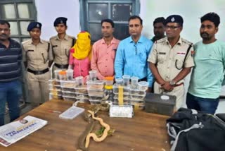 Jamshedpur  Tata nagar  Tata  Woman with 28 exotic snakes  Railway Police Force  സ്‌നേക് സാന്‍ഡ് ബോഅ  വിദേശയിനം പാമ്പുകളും  റെയില്‍വെ പൊലീസിന്‍റെ പിടിയില്‍  സ്‌ത്രീ  ജംഷഡ്‌പുര്‍  ജാര്‍ഖണ്ഡ്  ടാറ്റ നഗര്‍  റെയില്‍വെ  പൊലീസ്