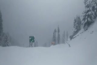Moderate snowfall in Kashmir as winter season arrived