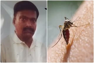 Dengue Death
