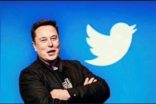 elon musk warning on parody as accounts