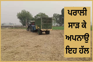 Two farmers of Bhawanigarh not burning straw