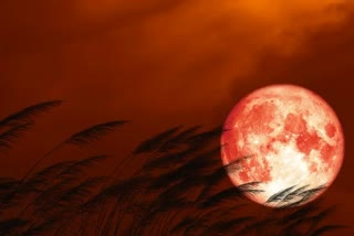 Lunar Eclipse 2022