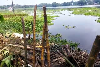 മടവീഴ്ച സഹായമില്ലാതെ കർഷകർ ദുരിതത്തിൽ  ചങ്ങനാശ്ശേരിയില്‍ മട വീഴ്‌ച  ഉലക്കത്താനം പാടശേഖരത്തില്‍ മടവീഴ്‌ച  കര്‍ഷകര്‍ ആശങ്കയില്‍  പുഞ്ചക്കൃഷി  കോട്ടയം വാര്‍ത്തകള്‍  കോട്ടയം ജില്ല വാര്‍ത്തകള്‍  കോട്ടയം പുതിയ വാര്‍ത്തകള്‍  kerala news updates  Bund collapsed in Kottayam  Kottayam news updates  latest news in kottayam