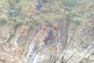 youth fell into river from rock in Thalisain