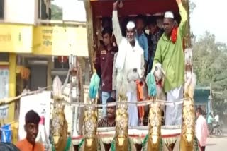 Goats and sheep Procession