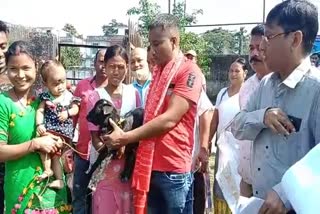 EM Rakesh Brahma distributed goats to self help groups