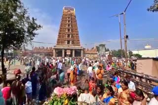 deveotees-visited-nanjangudu-temple