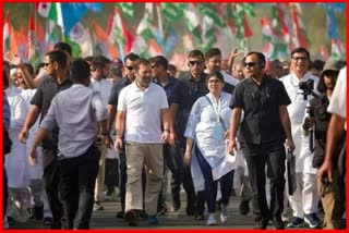 Srijaya Chavan walks with Rahul Gandhi
