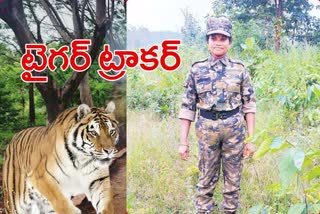 Story on first female Tiger Tracker Sunitha