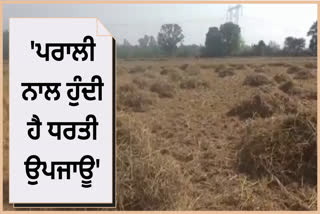 The matter of not burning straw  IN  Pathankot