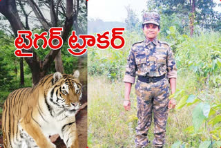 First female Tiger Tracker Sunitha