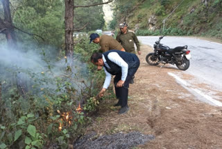 set fire to the srinagar forest