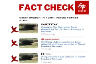 Old video of bear attack in TN's Tenkasi being shared as new; Forest dept warns