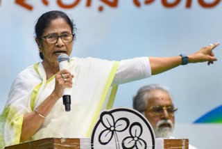 Mamata Banerjee warns party members over TMC Factionalism