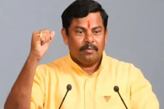 MLA Raja Singh Bailed