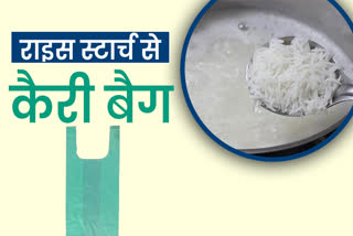 Rice starch carry bag in Chhattisgarh