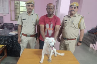 Puppy recovered from accused of fraud in Kota, it can be present in Court