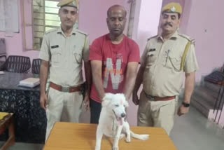 Puppy recovered from accused of fraud in Kota