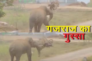 Elephant slams and destroys bike at Tamar in Ranchi