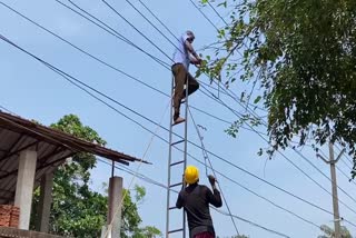 ലോകകപ്പ് ഫുട്‌ബോള്‍  കെഎസ്‌ഇബി  കാളികാവ് ലൈനില്‍ അറ്റകുറ്റപണികള്‍ ഊര്‍ജിതം  കാളികാവ് വൈദ്യുത ലൈന്‍  വൈദ്യുത ലൈനിലെ തടസങ്ങള്‍ നീക്കി കെഎസ്‌ഇബി  മലപ്പുറം വാര്‍ത്തകള്‍  മലപ്പുറം ജില്ല വാര്‍ത്തകള്‍  മലപ്പുറം പുതിയ വാര്‍ത്തകള്‍  മലയോര മേഖല  കെഎസ്‌ഇബി  കെഎസ്‌ഇബി വാര്‍ത്തകള്‍  kerala news updates  latest news in kerala  latest news in Malappuram  Malappuram KSEB news updates