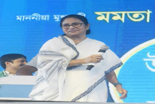 Firearms being smuggled from across borders to separate north Bengal: Mamata