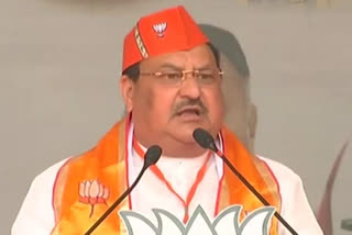 Progress of Himachal will stall if wrong govt voted to power: BJP chief J P Nadda