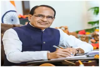 CM Shivraj met many industrialists