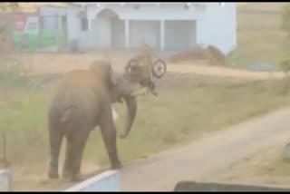 Elephant destroys bike in jharkhand