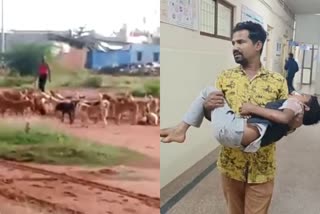 stray dogs deadly attack on Boy  deadly attack on Boy in Chikkaballapur  stray dogs deadly attack news  ನಾಯಿಗಳ ದಾಳಿಯಿಂದ ಅಣ್ಣ ಸಾವು  ತಮ್ಮನ ಮೇಲೆ ಡೆಡ್ಲಿ ಅಟ್ಯಾಕ್ ಮಾಡಿದ ಶ್ವಾನಗಳು  ನಾಯಿಗಳ ದಾಳಿಯಿಂದ ಅಣ್ಣ ಮೃತ  ತಮ್ಮನ ಮೇಲೆಯೂ ಶ್ವಾನಗಳು ಡೆಡ್ಲಿ ಅಟ್ಯಾಕ್​ ಬಾಲಕ ದಸ್ತಗಿರ್ ಮೇಲೆ ನಾಯಿಗಳು ದಾಳಿ  ಬಾಲಕ ದಸ್ತಗೀರ್​ ಗಂಭೀರವಾಗಿ ಗಾಯ  ಬೀದಿ ನಾಯಿಗಳು ಏಕಾಏಕಿ ದಾಳಿ