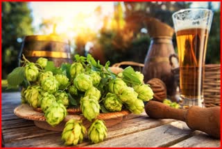 Protection from Alzheimers with flowers used in beer