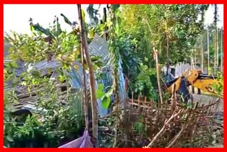 Eviction drive in Cachar