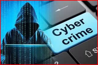 Cyber Fraud  prevention