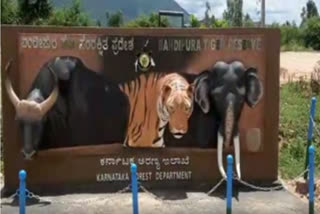 Karnataka's Bandipur Tiger Reserve on threshold of golden jubilee celebrations