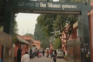 stray dogs moving around patient in Muzaffarnagar District Hospital