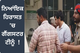 The Mansa court sent Chirag and Loia along with gangster Deepak Tinu to judicial custody