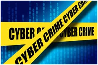 Cyber Crime