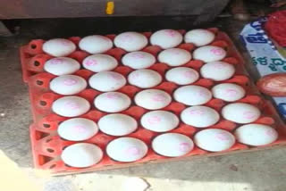 Anganwadi Eggs