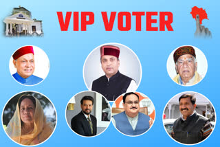 VIP VOTER