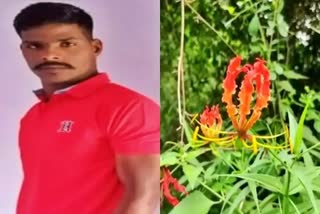 Young man dies after eating tuber  eating tuber of Flame lily in Tamil Nadu  Young man dies news  ವಾಟ್ಸಾಪ್​ ಮೂಲಕ ಬಂದ ಯಮ  ​ ಲಿಲ್ಲಿ ಗಡ್ಡೆ ತಿಂದು ಕಾನ್ಸ್​ಟೇಬಲ್​ ಅಭ್ಯರ್ಥಿ ಮೃತ  ವಾಟ್ಸಾಪ್​ನಲ್ಲಿ ಬರುವ ಸಂದೇಶ  ಫ್ಲೇಮ್​ ಲಿಲ್ಲಿ ಗಡ್ಡೆ ತಿಂದು ಅಸ್ವಸ್ಥ  ಖಾಸಗಿ ಕ್ವಾರಿಯೊಂದರಲ್ಲಿ ಒಟ್ಟಿಗೆ ಕೆಲಸ  ಚೆನ್ನೈನ ರಾಜೀವ್ ಗಾಂಧಿ ಆಸ್ಪತ್ರೆ