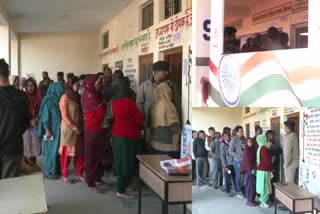 himachal pradesh assembly elections polling