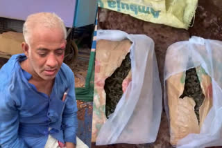 ganja seized from scooter passenger  kasargod ganja arrest  ganja arrest  കഞ്ചാവ്  നാട്ടുകാര്‍ കഞ്ചാവ് പിടികൂടി  കാസര്‍കോട് ചേറ്റുകുണ്ട്