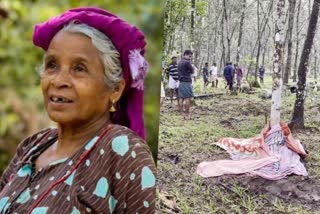 കാട്ടാനയുടെ ചവിട്ടേറ്റ് 63കാരിയെ മരിച്ച നിലയിൽ കണ്ടെത്തി  കാട്ടാനയുടെ ചവിട്ടേറ്റ് വയോധിക മരണപ്പെട്ടു  woman trampled to death by wild elephant  കണക്കന്‍ കടവിലാണ് സംഭവം  കാട്ടാനയുടെ ചവിട്ടേറ്റ്