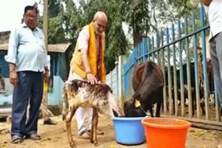 Pramod Muthalik visits Shimoga's Mahaveera Goshale