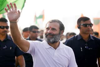 Rahul Gandhi to skip Winter Session: ଶୀତ ଅଧିବେଶନରେ ଅଂଶଗ୍ରହଣ କରିବେନି ରାହୁଲ