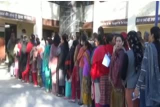 शिमला में दिखा मतदाताओं में उत्साह