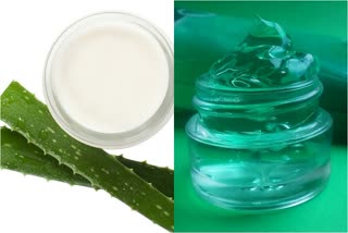 Aloe vera News