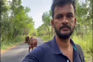 a-young-man-walked-with-gir-cattle-from-bengaluru-to-dharmasthala