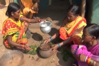 villagers made manure for farming in natural process in koraput