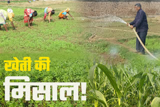 Farming in Giridih